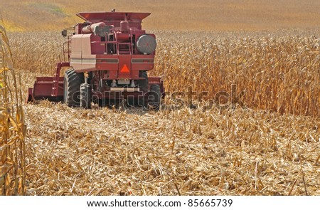Red farm combine harvesting a field of golden corn
