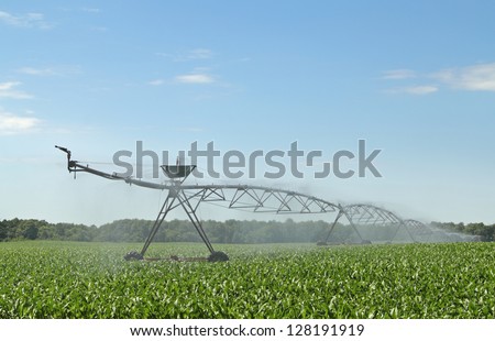Irrigation equipment watering a crop of corn