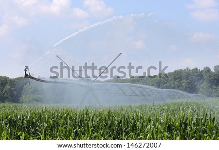 Agricultural irrigation equipment watering a corn crop