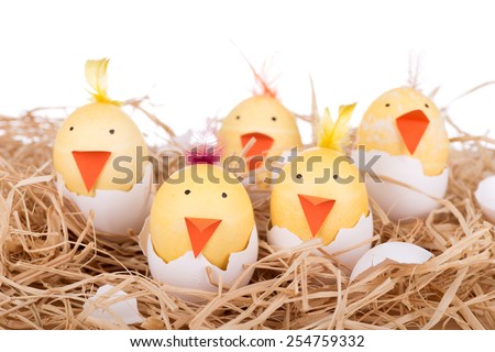 Group of Easter eggs decorated as hatching chicks