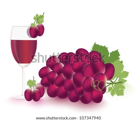 Grapes and vine Vector