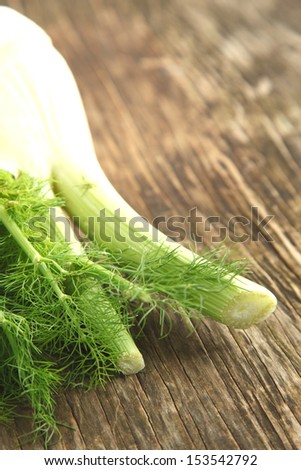 Fresh fennel on wooden background