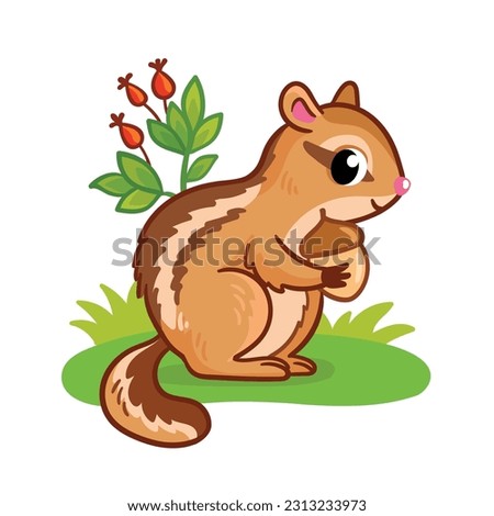 Cute chipmunk stands on a green summer meadow and holds a nut in its paws. Vector illustration with animal in cartoon style.