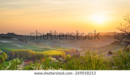 Similar – Image, Stock Photo wine romance Field Tree