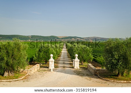 Italy, Villa entrance gate and estate (Puglia)