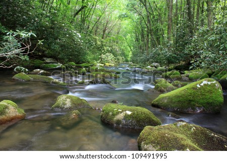 Mountain stream located in The Great Smoky Mountains National Park.