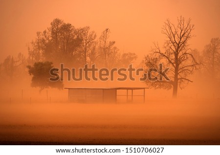 Similar – Image, Stock Photo Climate change | bare patches in the Harz Mountains