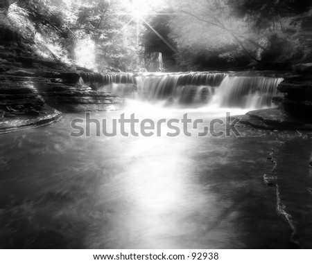 Stony Brook in Black and White