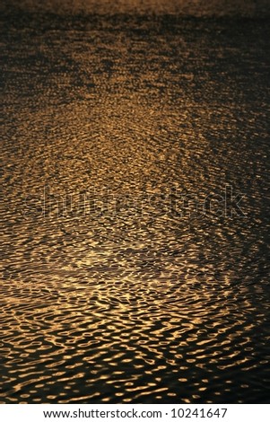 Golden reflection of the setting sun on the ripples of water of a pond
