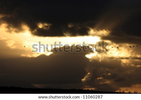 Beautiful clouds and sunset with silhouette of geese flying home