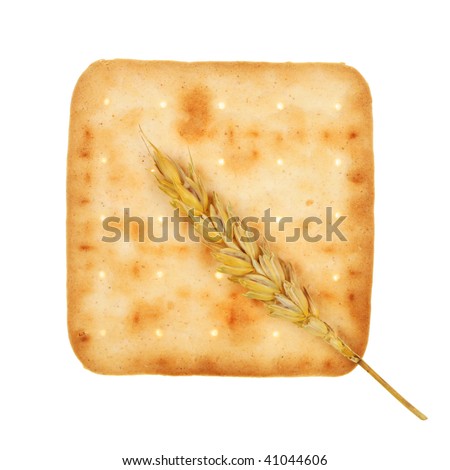 A square cheese biscuit and an  ear of wheat