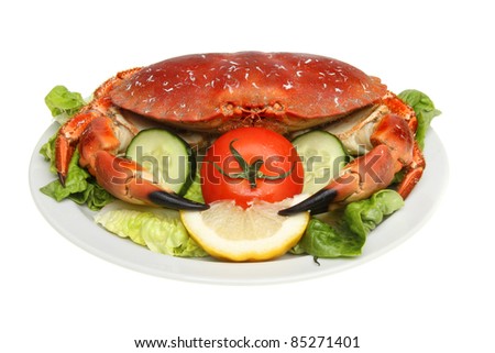 Whole cooked brown crab on a bed of salad isolated against white
