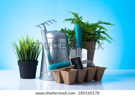 Garden equipment with green plants and daffodils over blue background