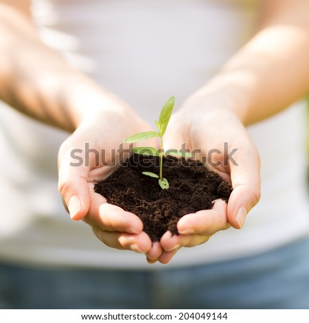holding a small plant in hands -close up