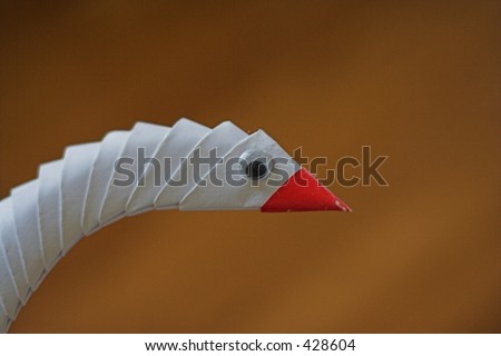 white swan head with red beak