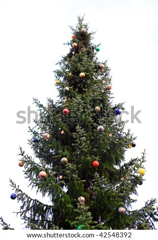 Outdoor Christmas Tree Decoration For Multiple Uses Stock Photo