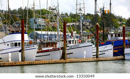 Oregon Sport And Commercial Fishing Boats Stock Photo 13350049 ...