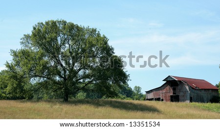 Tennessee Landscape Tree and Barn