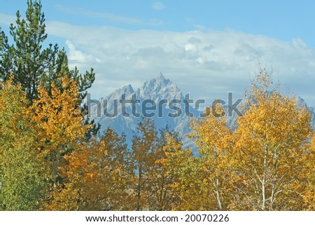 Fall in yellowstone showing in the back ground the Grand Tetons.