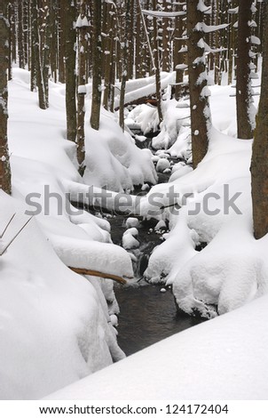 snowy creek in the woods, winter Kingdom