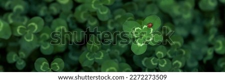 Similar – Image, Stock Photo red lucky clover