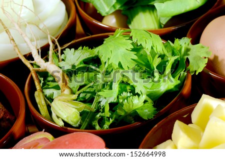 Coriander Leaves and Roots.
