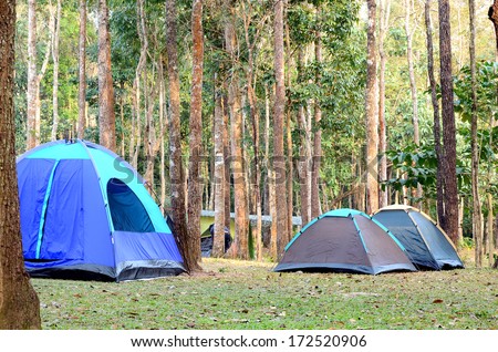 Big dome and camping tents underneath big trees in national park.