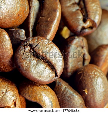 Roasted coffee beans prepared to make a very good coffee drink shot. A best coffee come from Brazil.