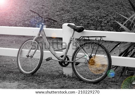 Old Bicycle Lean on the White Fence in the Evening Light.