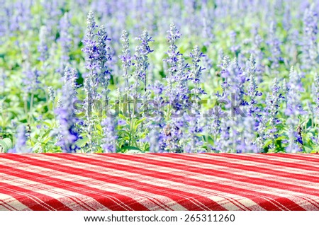 Outdoor Picnic Background with Picnic Table.