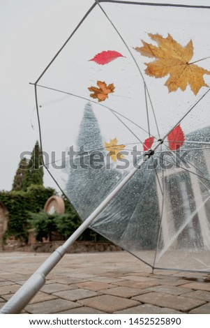 Similar – Image, Stock Photo Stretched lying umbrella with raindrops. Black and white photo