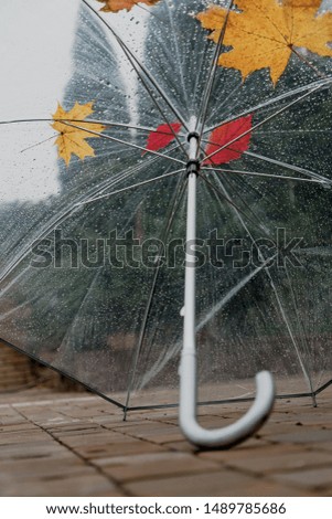 Similar – Image, Stock Photo Stretched lying umbrella with raindrops. Black and white photo