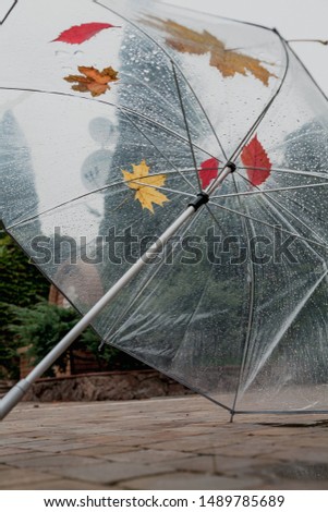 Similar – Image, Stock Photo Stretched lying umbrella with raindrops. Black and white photo
