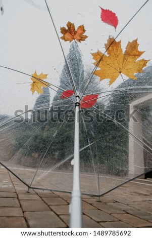 Similar – Image, Stock Photo Stretched lying umbrella with raindrops. Black and white photo