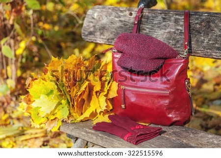 Trendy autumn collection. Woman bag, cap and gloves on bench next to the fallen leaves