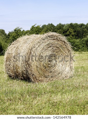 Field with roll of hay on summer day