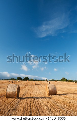 Bales of straw in the wheat fields, Burgos, Spain