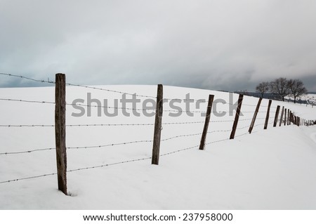 Stakes and barbed wire in the snowy meadows. Grey cloudy sky