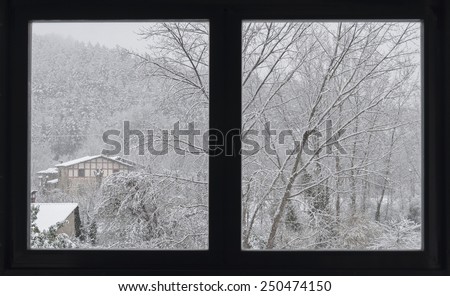 Park and trees covered by the snow, seen outside the window