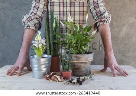 Man with some plants and flowers in a table