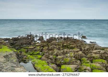 Rocks covered on green moss in the sea shore