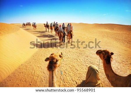 People In The Sahara Desert Stock Photo 95568901 : Shutterstock