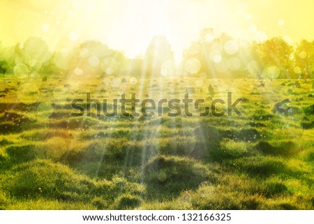 Eco nature with sun beam / green  landscape background with sunshine/ Abstract spring and summer backgrounds
