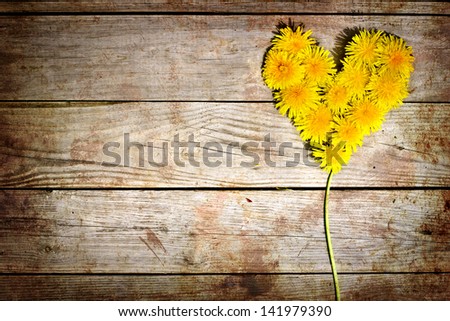 Summer background with yellow dandelions /Heart from dandelions on a aged wooden background/Dandelio ns on wood with copy space