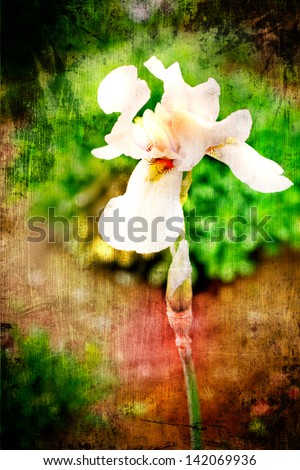 Spring Iris Flowers/vintage background with textured Iris Flowers