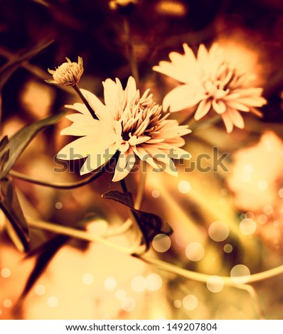 Vintage  Retro Flowers/ flower background with  beautiful yellow flowers