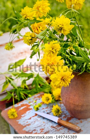 cut bouquet of flowers with a knife  outdoor/ flowers in a jug