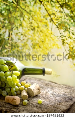 Wine bottle , grape and corks on wooden table on vineyard background/ summer wine background