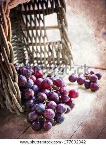 assortment of ripe sweet grapes in basket on texture background/Grapes in the basket/ Summer Wine Season
