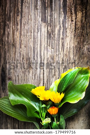 Rustic wooden background with flowers /spring or summer flower background